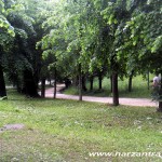 Дорожки Курортного парка Кисловодска. Прогулка по Кисловодскому парку